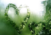 开云体育在线-辽宁队攻守俱佳，势不可挡向前迈进的简单介绍