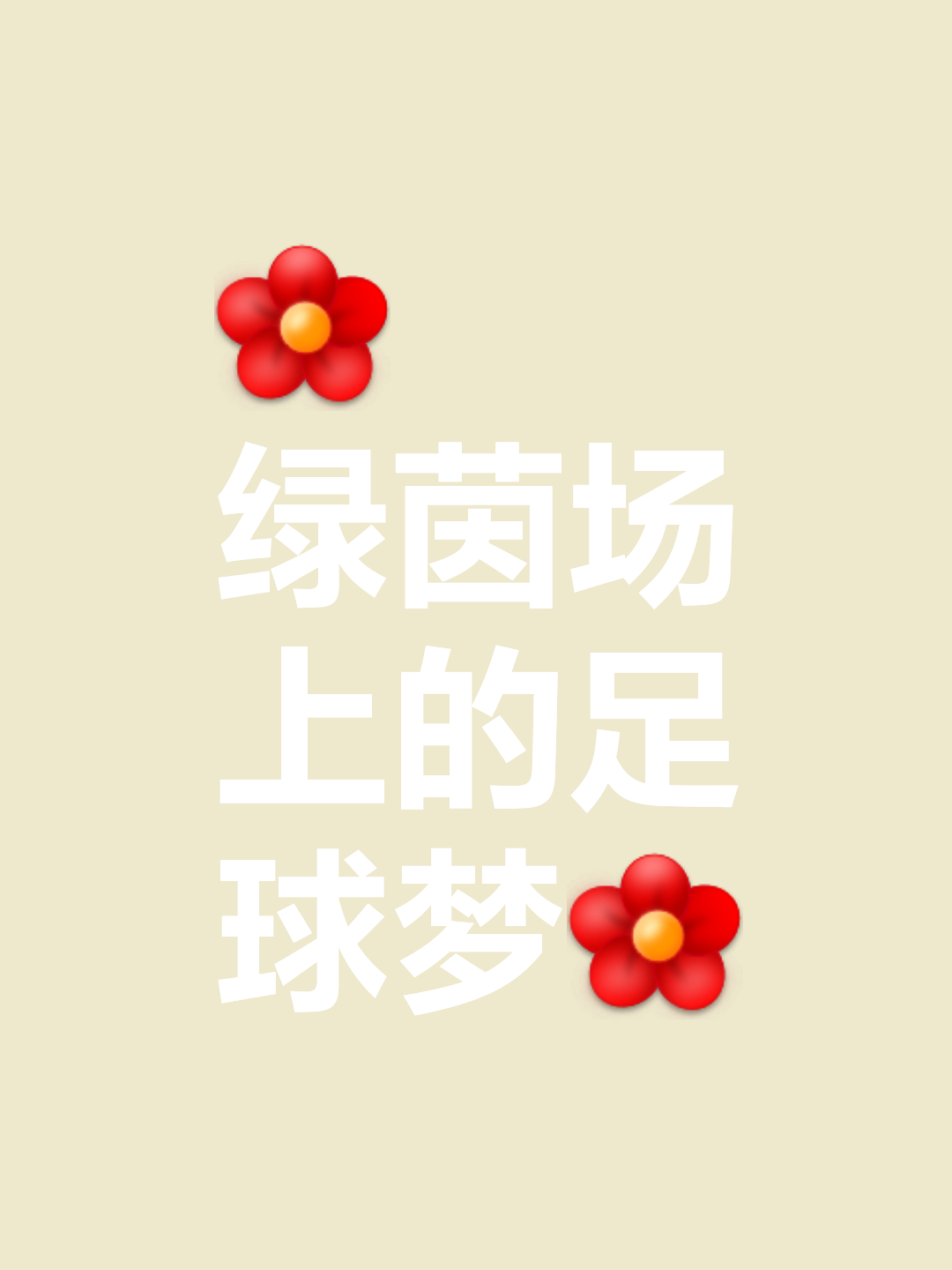 绿茵场上风云变幻，胜利之路向前迈进的简单介绍