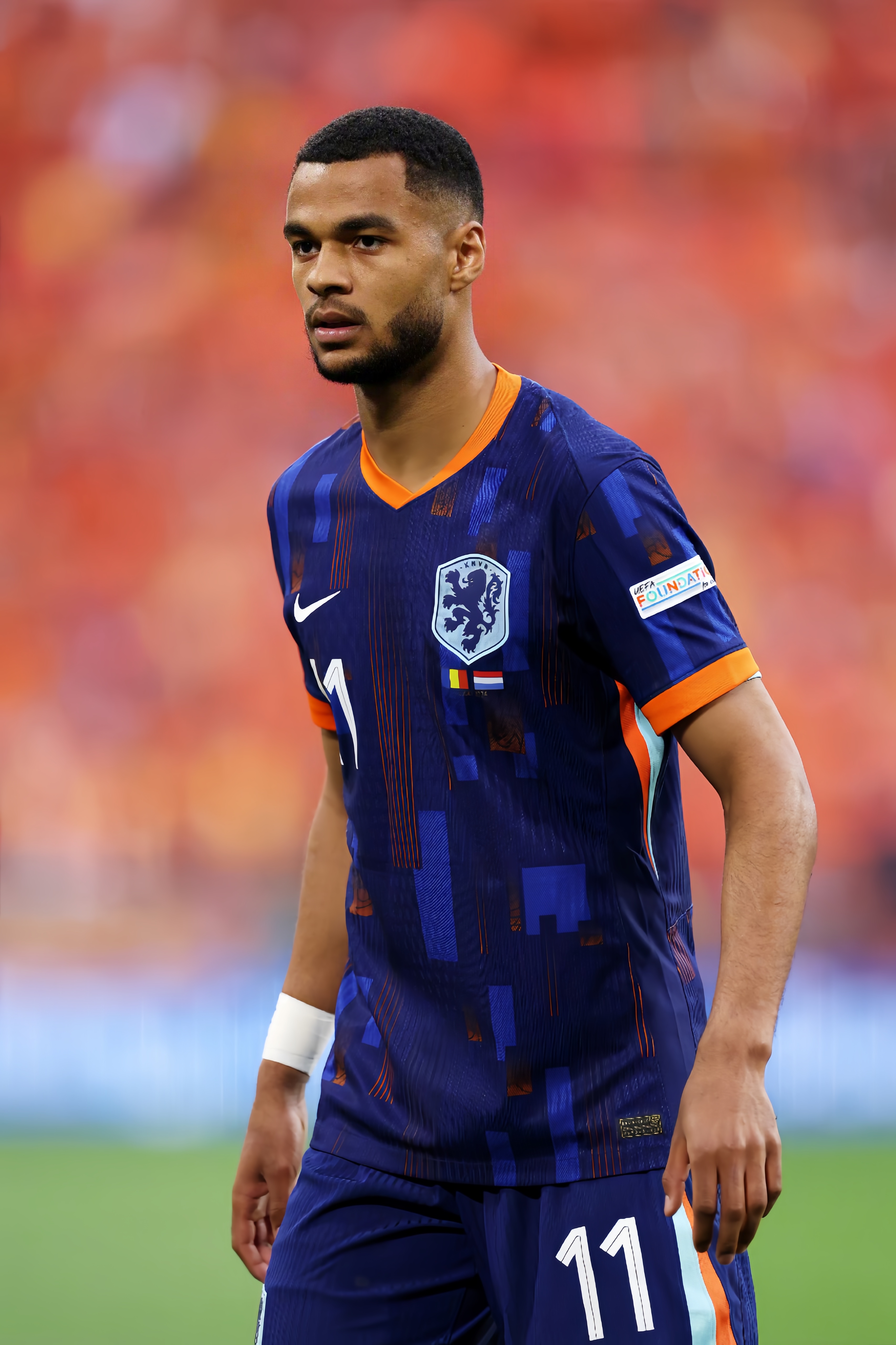 荷兰队欧洲杯预选赛全胜晋级：波黑队落败的简单介绍