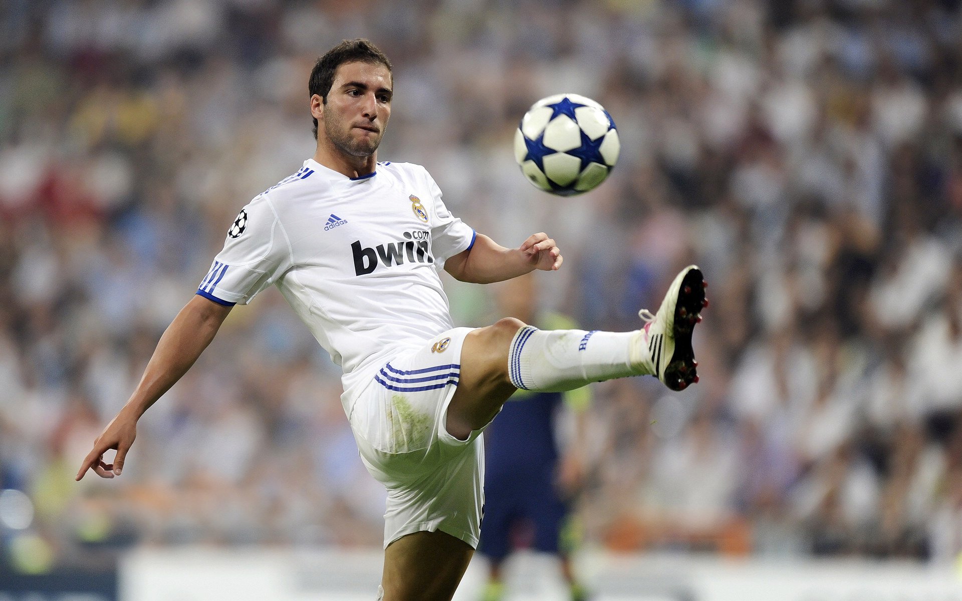 棋盘上的致命一击，阿什拉夫的骑士绝杀如何撕裂奥地利的铁壁